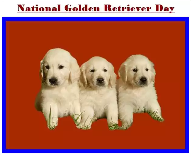 National Golden Retriever Day New Image