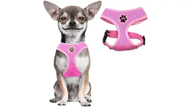 Bingpet Soft Mesh Dog Harness