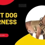 Best Dog Harness To Stop Pulling-Top 10 Dog Harness (June-2022)
