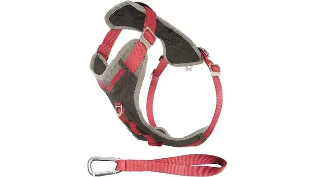 Kurgo Journey Multiuse Dog Harness