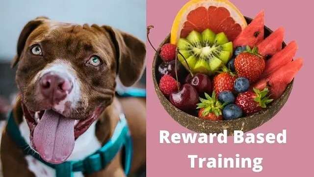 Reward-Based Training