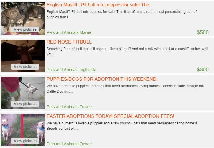 pitbull mastiff mix puppy for sale